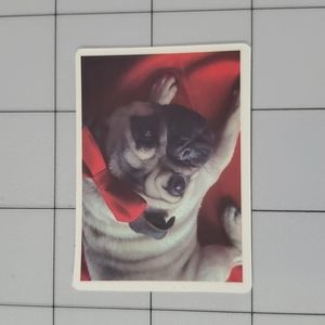 Pug Sticker